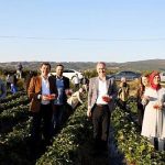 kirmizi-elmasin-unu-sinirlari-asiyor.jpg