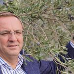 ayvalikta-zeytin-muzesi-yenilendi.jpg