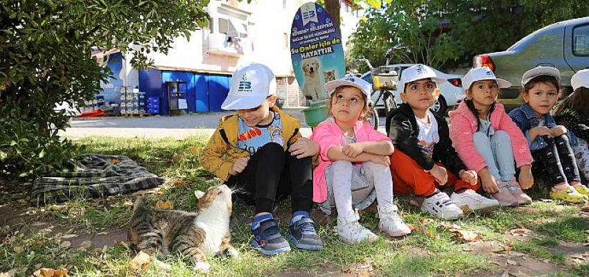 sokak-hayvanlari-koruma-gununde-kedi-evleri-dagitildi.jpg
