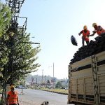 antalya-buyuksehir-kalitesiz-komure-gecit-vermiyor.jpg
