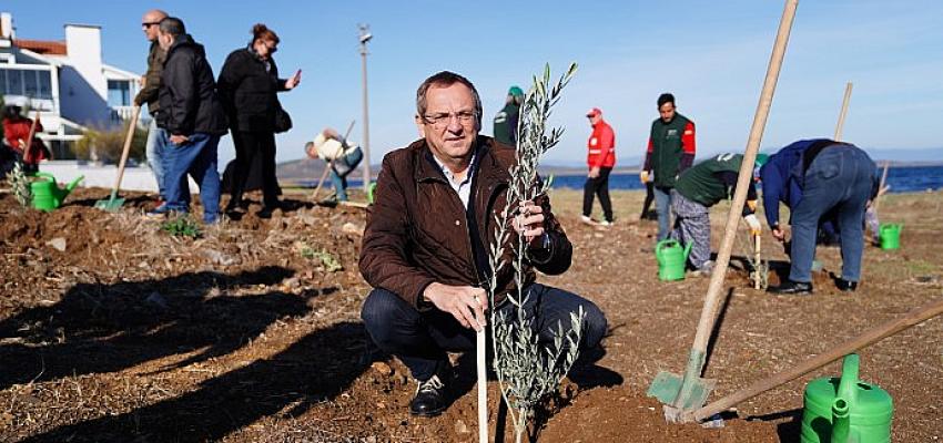 ayvalik-belediye-baskani-mesut-ergin-duzya-zeytin-agaci-gunu-kutlu-olsun.jpg