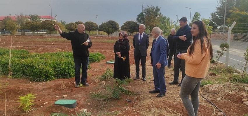 harran-universitesi-dunyanin-en-degerli-baharatini-sanliurfaya-yeniden-kazandirdi.jpg