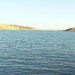 harran-universitesi-firat-nehrinde-tehdit-olusturan-istilaci-sazan-baliklari-icin-proje-uretiyor.jpg