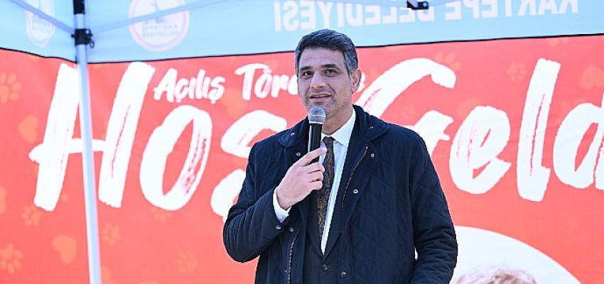 kartepenin-sokak-hayvanlarina-mutlu-son.jpg