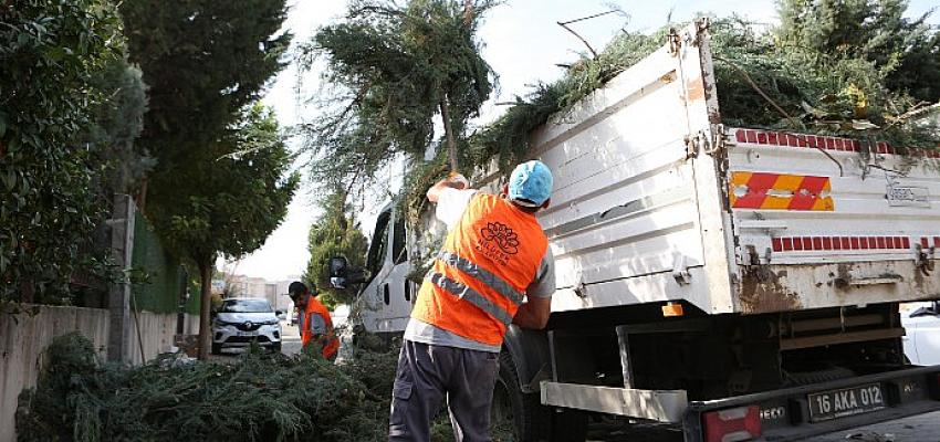 niluferde-bahce-ve-budama-atiklari-kompost-oluyor.jpg