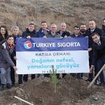 turkiye-sigorta-ormani-sivasta-yeserecek.jpg