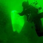arcelik-wwf-turkiye-ve-deniz-yasamini-koruma-derneginden-istanbul-adalarindaki-hayalet-balik-aglari-icin-yeni-bir-proje.jpg