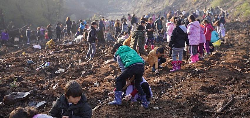 marmariste-madok-kizilbuk-gyo-is-birligiyle-agac-ekim-senligi-gerceklestirildi.jpg