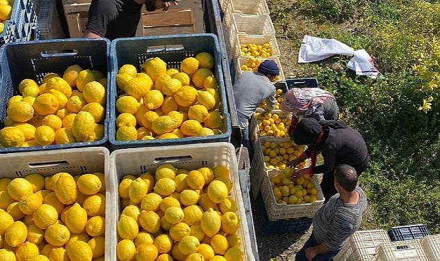 sok-marketler-deprem-bolgesinde-tarimi-ve-ciftciyi-destekliyor.jpg