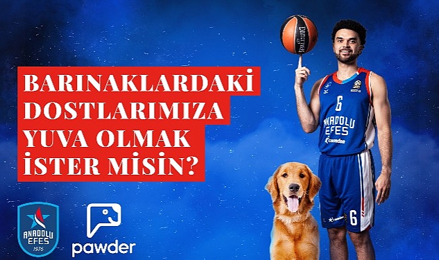 anadolu-efes-pawder-is-birligiyle-depremzede-kopeklerin-ve-barinak-hayvanlarinin-sahiplendirilmesine-destek-olacak.jpg