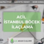 Ev İlaçlama Ne Zaman Yapılır?