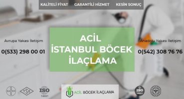 Ev İlaçlama Ne Zaman Yapılır?