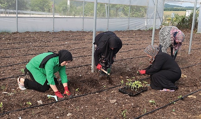 kocaeli-buyuksehirden-kadin-girisimcilere-tarimsal-destek.jpg