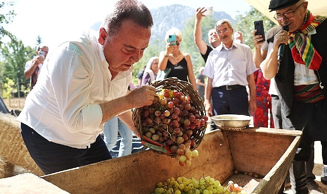 antalya-gastronomi-festivalinin-ikinci-gununde-mor-uzum-hasadi.jpg