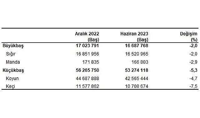 buyukbas-hayvan-sayisi-2023-yili-haziran-ayinda-16-milyon-688-bin-bas-oldu.jpg