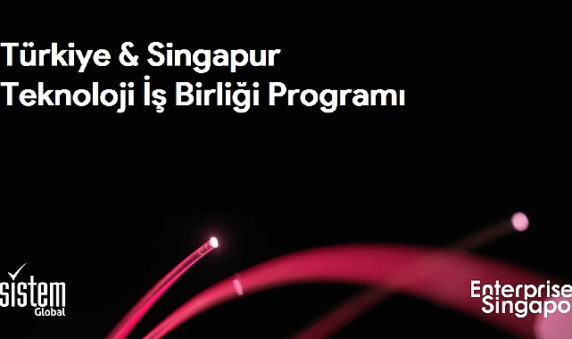 teknoloji-odakli-sirketler-turkiye-singapur-teknoloji-is-birligi-programi-ile-globallesme-firsati-yakalayacak.jpg