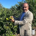 satsuma-mandalinanin-ihracat-yolculugu-20-ekimde-basliyor.jpg