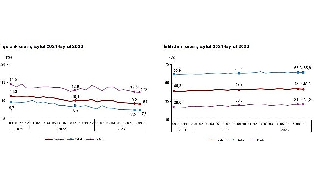 mevsim-etkisinden-arindirilmis-issizlik-orani-yuzde-91-seviyesinde-gerceklesti.jpg