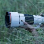 sony-dunyanin-en-hafif-genis-diyaframli-telefoto-prime-lensi-g-master-fe-300mm-f2-8-gm-ossyi-tanitti.jpg