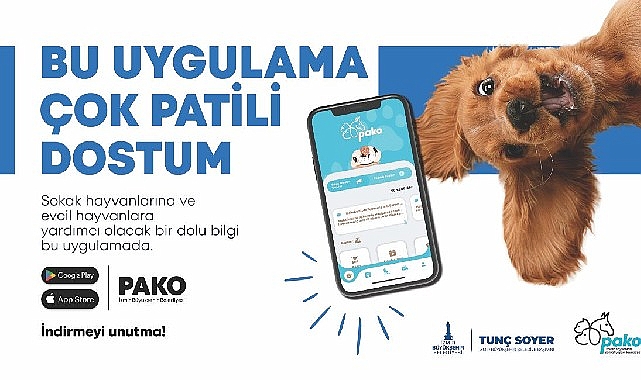 buyuksehirden-can-dostlar-icin-pako-mobil-uygulamasi.jpg