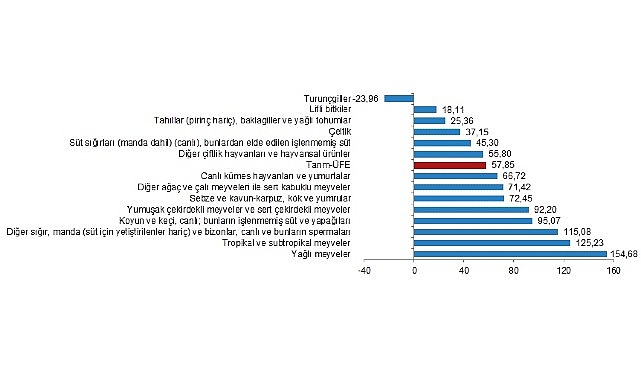 tuik-tarim-urunleri-uretici-fiyat-endeksi-tarim-ufe-yillik-%5785-aylik-385-artti.jpg