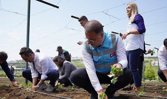 beylikduzu-belediyesi-tarafindan-hayata-gecirilen-ve-kent-tarimina-buyuk-katki-sunan-yasam-bahcesinde-yaz-mevsiminin-ilk-fideleri-dikildi.jpg