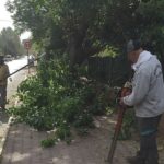 kemer-belediyesinden-yesil-alanlarda-bakim-calismalari.jpg